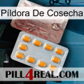 Píldora De Cosecha new13